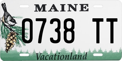 ME license plate 0738TT