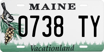 ME license plate 0738TY