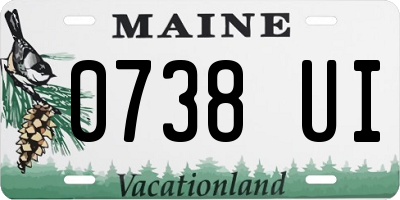 ME license plate 0738UI