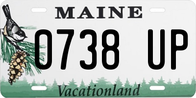 ME license plate 0738UP