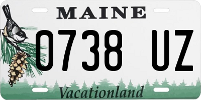 ME license plate 0738UZ