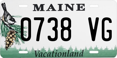 ME license plate 0738VG