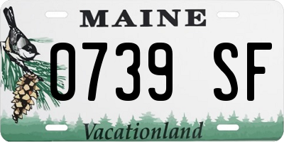 ME license plate 0739SF