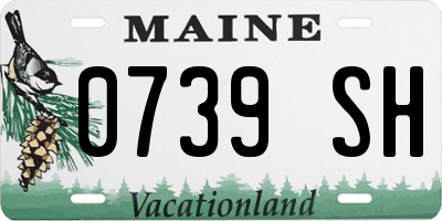 ME license plate 0739SH