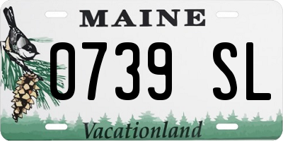 ME license plate 0739SL