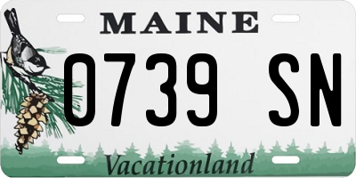 ME license plate 0739SN