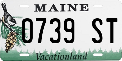 ME license plate 0739ST