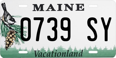ME license plate 0739SY
