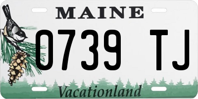 ME license plate 0739TJ