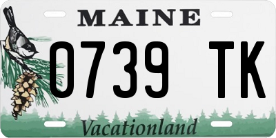 ME license plate 0739TK
