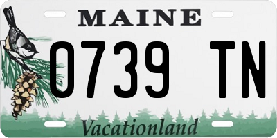 ME license plate 0739TN