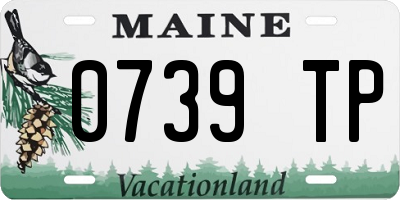 ME license plate 0739TP