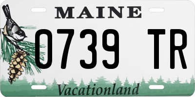 ME license plate 0739TR