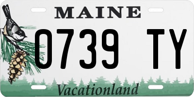 ME license plate 0739TY