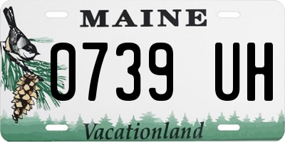 ME license plate 0739UH