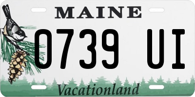 ME license plate 0739UI