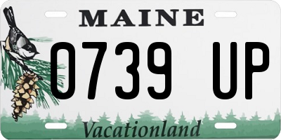 ME license plate 0739UP