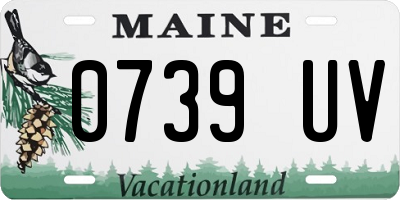 ME license plate 0739UV