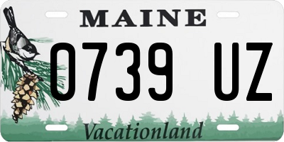 ME license plate 0739UZ