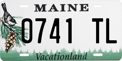 ME license plate 0741TL