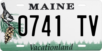 ME license plate 0741TV