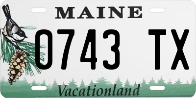 ME license plate 0743TX