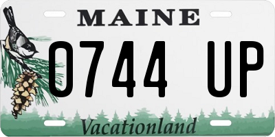 ME license plate 0744UP