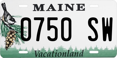 ME license plate 0750SW