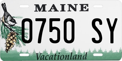 ME license plate 0750SY
