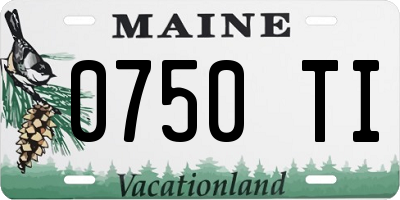 ME license plate 0750TI