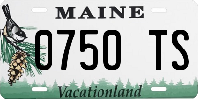 ME license plate 0750TS