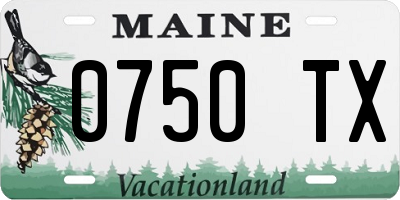 ME license plate 0750TX