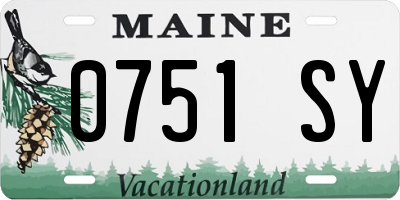 ME license plate 0751SY
