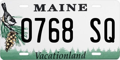ME license plate 0768SQ