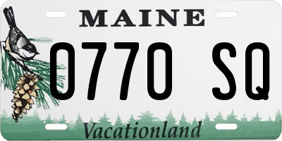 ME license plate 0770SQ