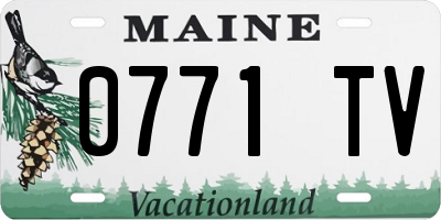 ME license plate 0771TV
