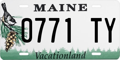 ME license plate 0771TY