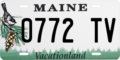ME license plate 0772TV