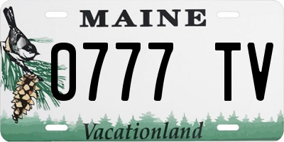 ME license plate 0777TV