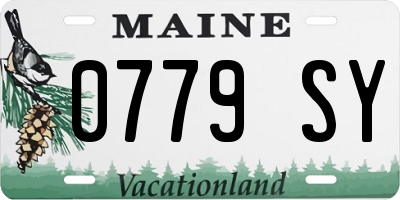 ME license plate 0779SY