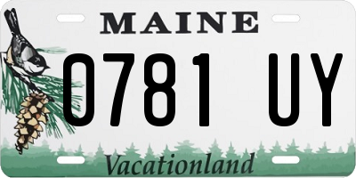 ME license plate 0781UY