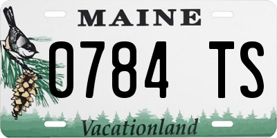 ME license plate 0784TS