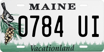 ME license plate 0784UI