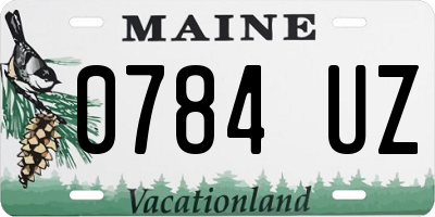 ME license plate 0784UZ