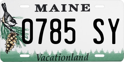 ME license plate 0785SY