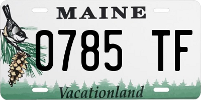 ME license plate 0785TF