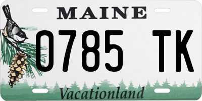 ME license plate 0785TK