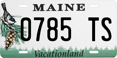 ME license plate 0785TS