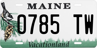 ME license plate 0785TW