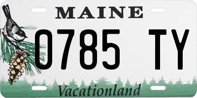 ME license plate 0785TY